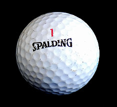 Spalding_1_(red)_(ID072208)