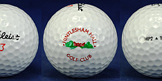 Hintlesham_Hall_Golf_Clube_(Titleist_3_HP2_Tour)_(ID060097)
