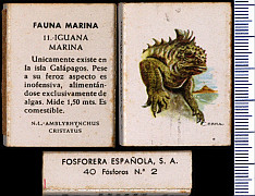 Fauna_Marinha_(FESA)